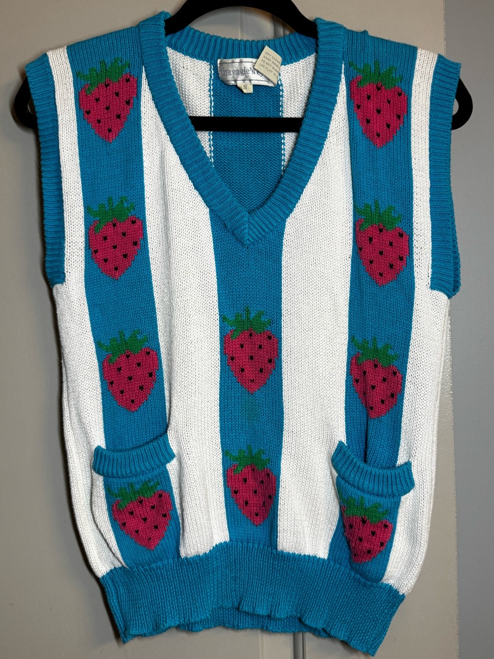 Striped V-Neck Sweater Vest with Strawberry Motif - Blue/White